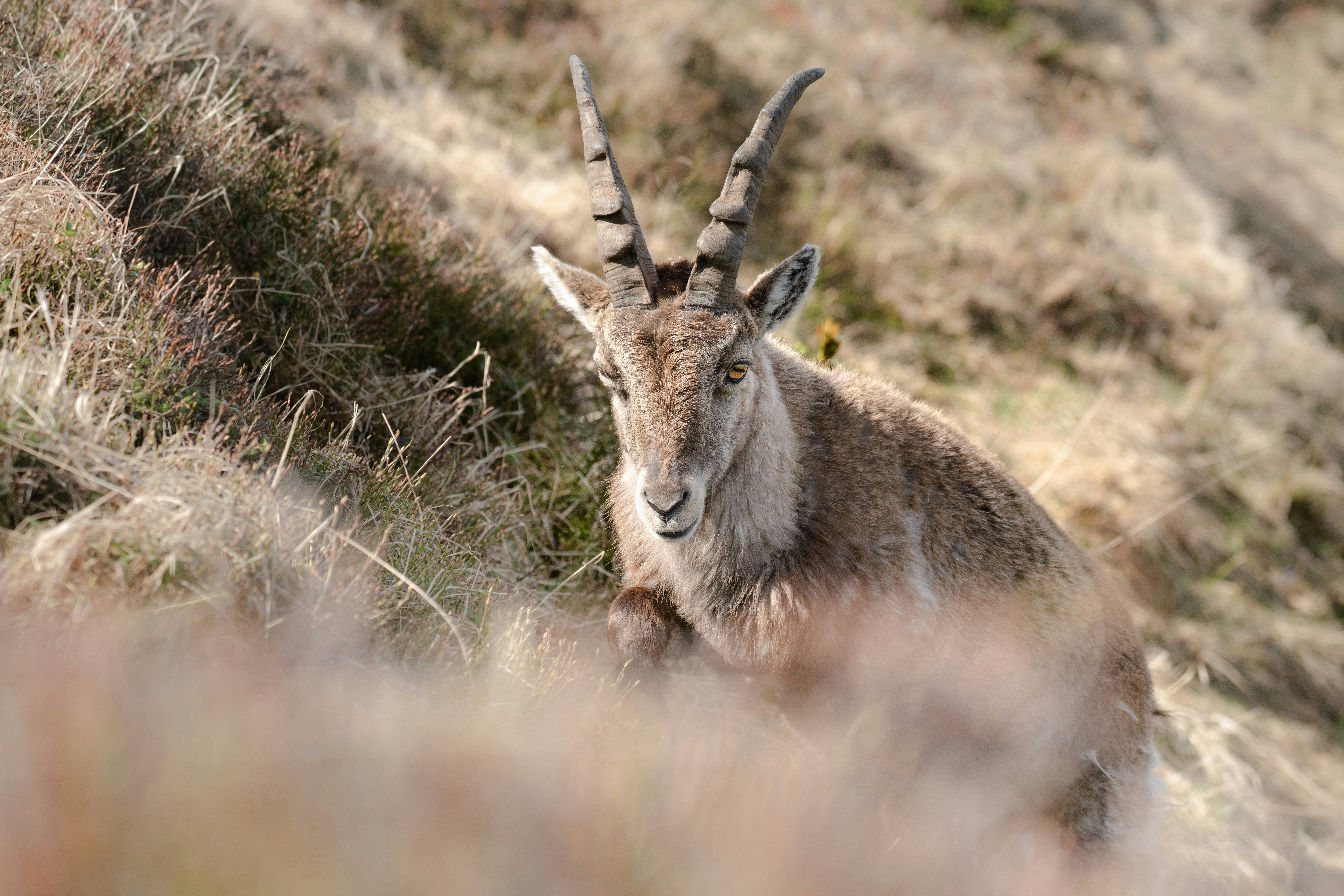 Photo by gilsenan_pictures