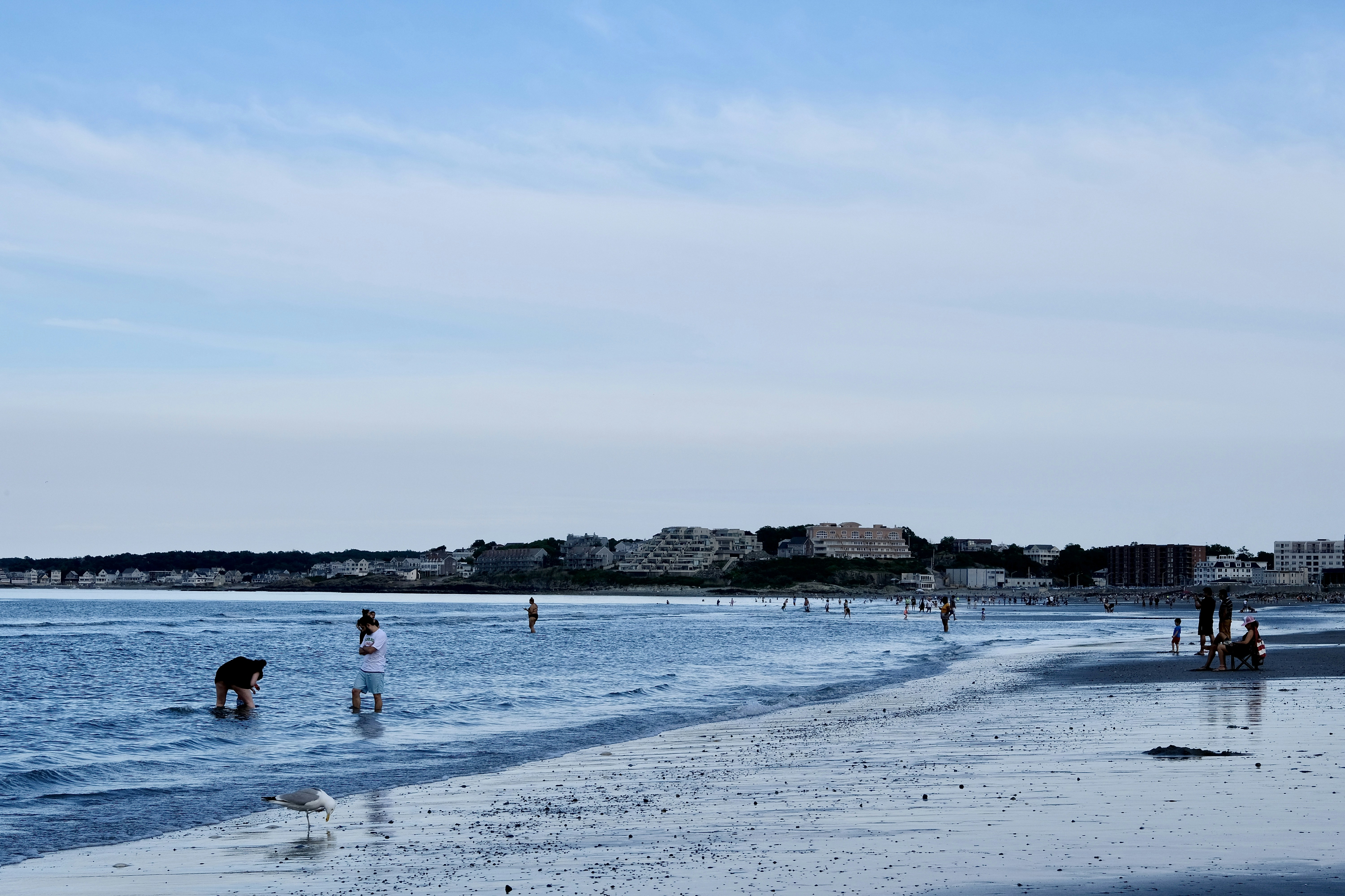 people on beach during daytime