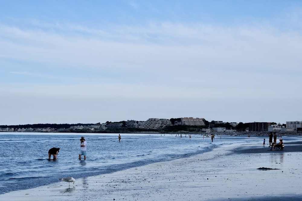 personnes sur la plage pendant la journée