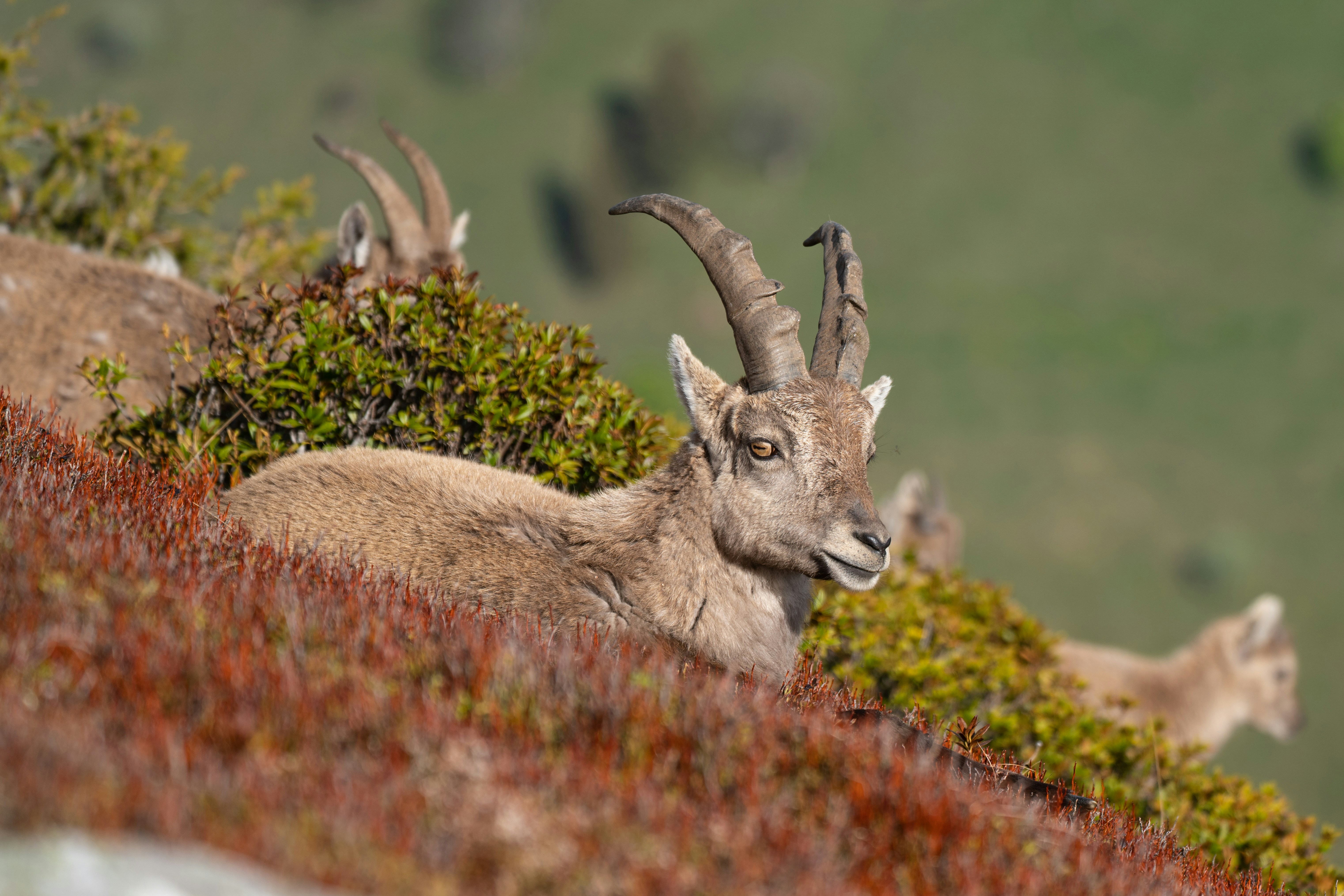 Photo by gilsenan_pictures