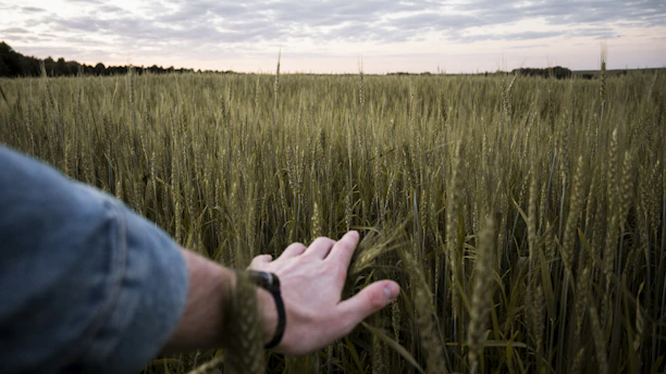 A warm handshake between Scott Grice and a local farmer under a wide open rural sky.
