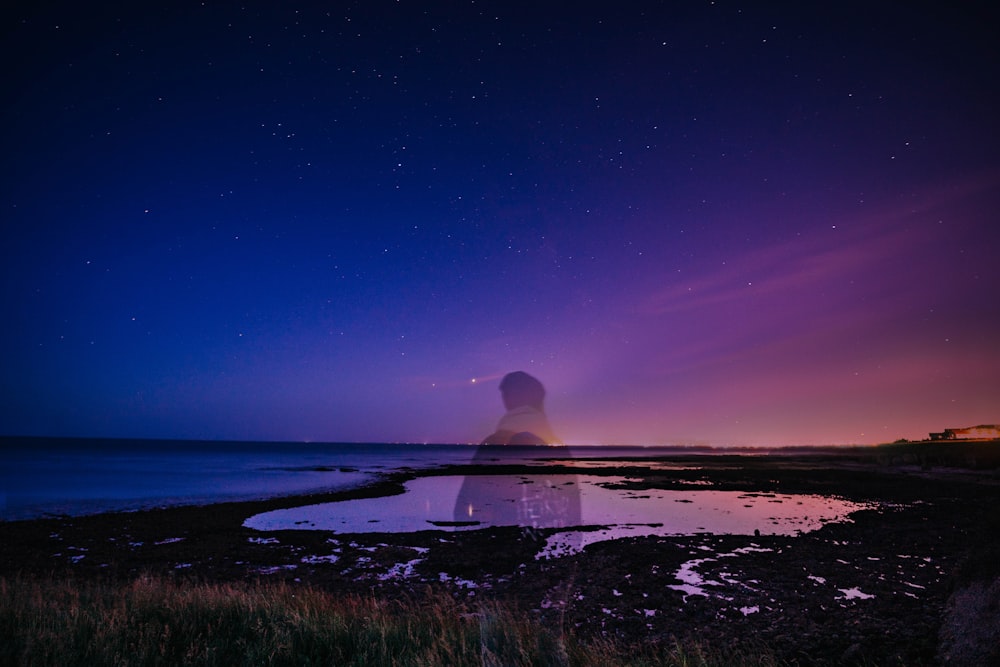 person sitting on green grass near body of water during night time