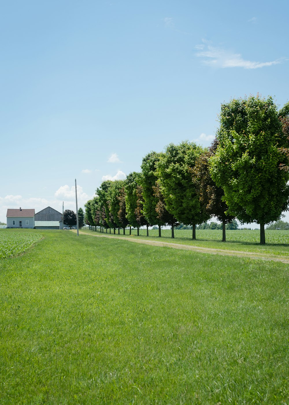 900 grass background images download