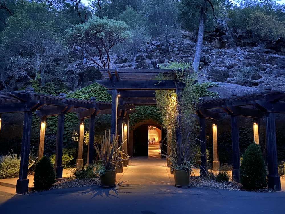 brown wooden arch surrounded by trees