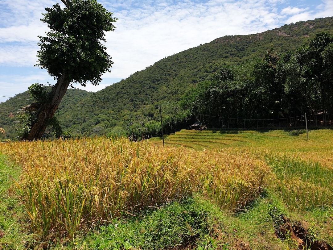 travelers stories about Nature reserve in Nuwara Eliya, Sri Lanka