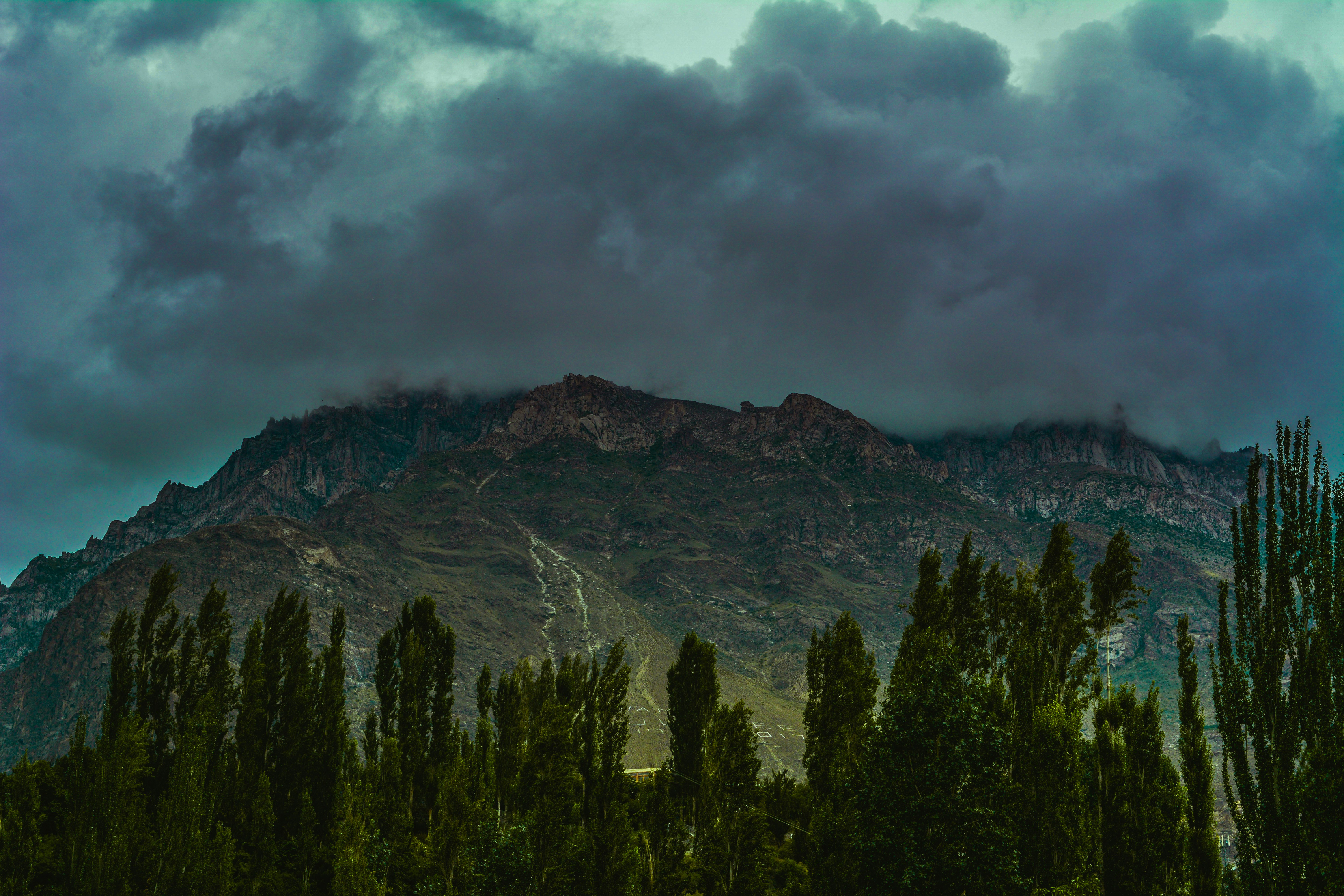 green pine trees near mountain under white clouds during daytime, 