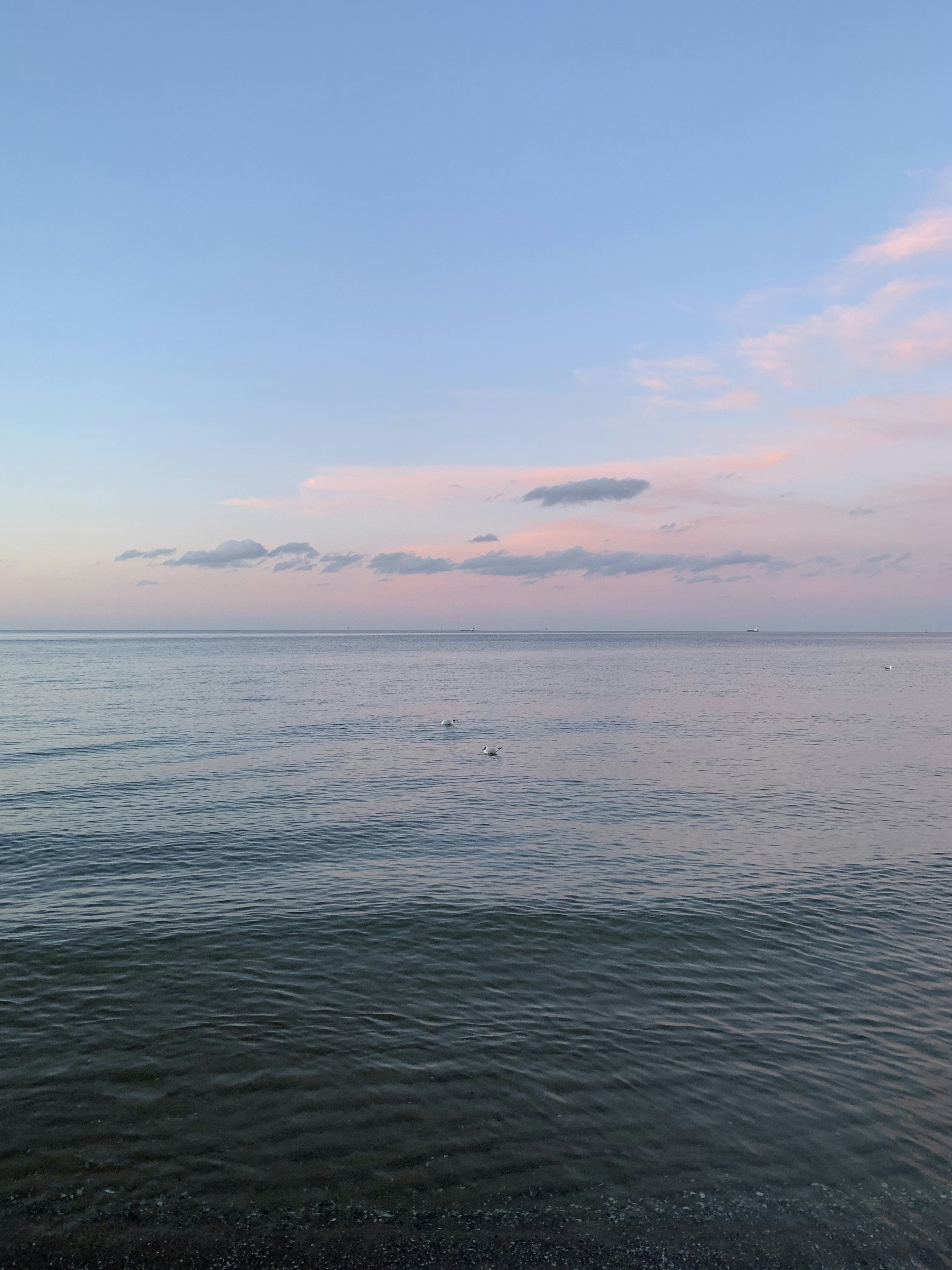 Photo by hannahanna8