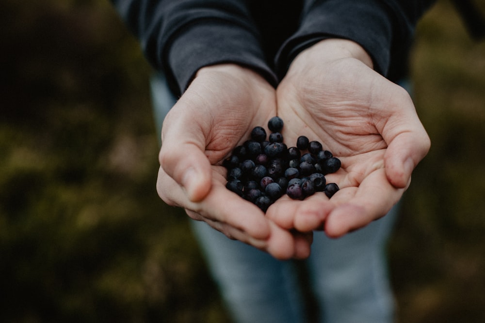 person holding black round fruits