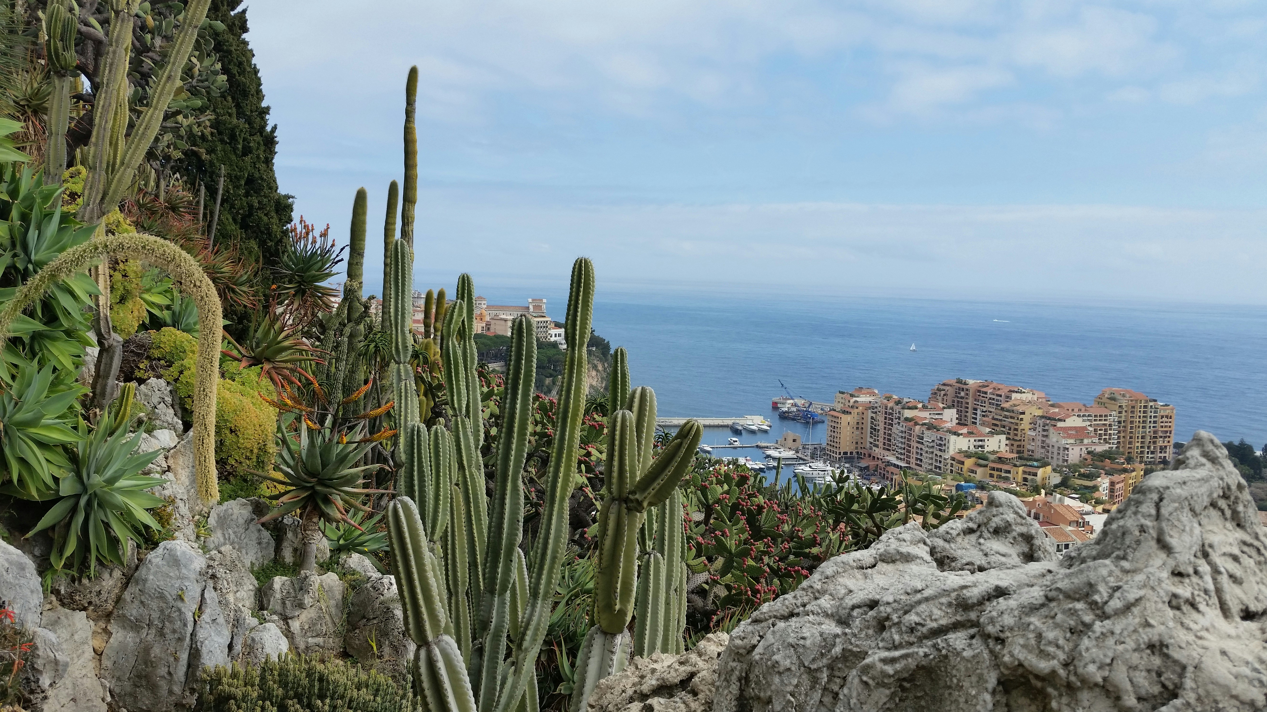 Exotic Garden Monaco Reopening 2026: What to Expect from Renovation