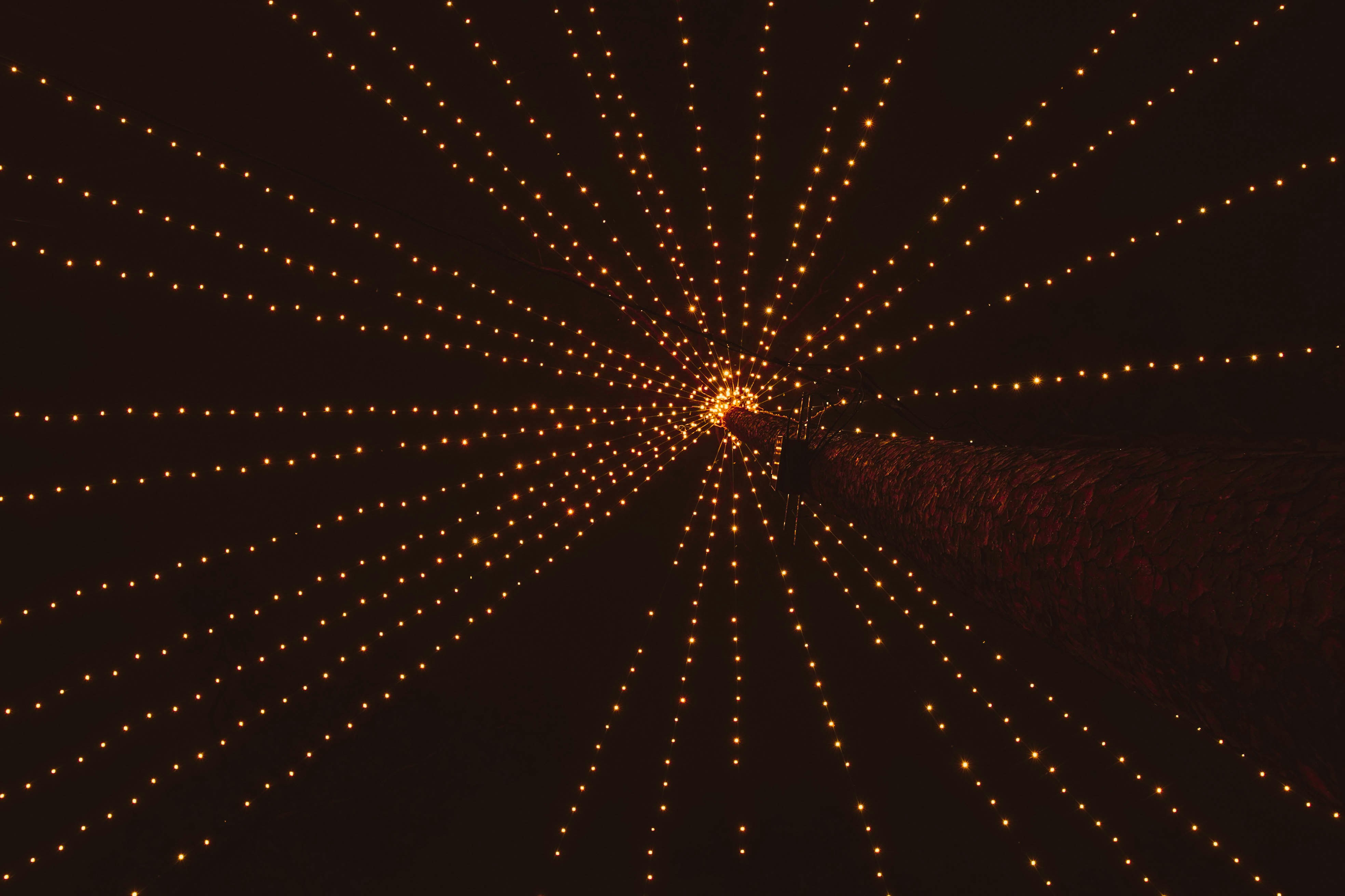 yellow and red light in the dark