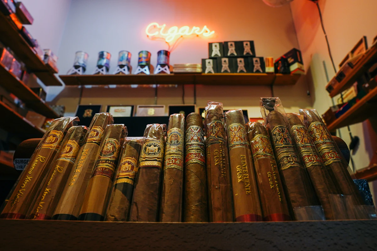 A dark Maduro cigar with elegant gold-foil band ready for presentation