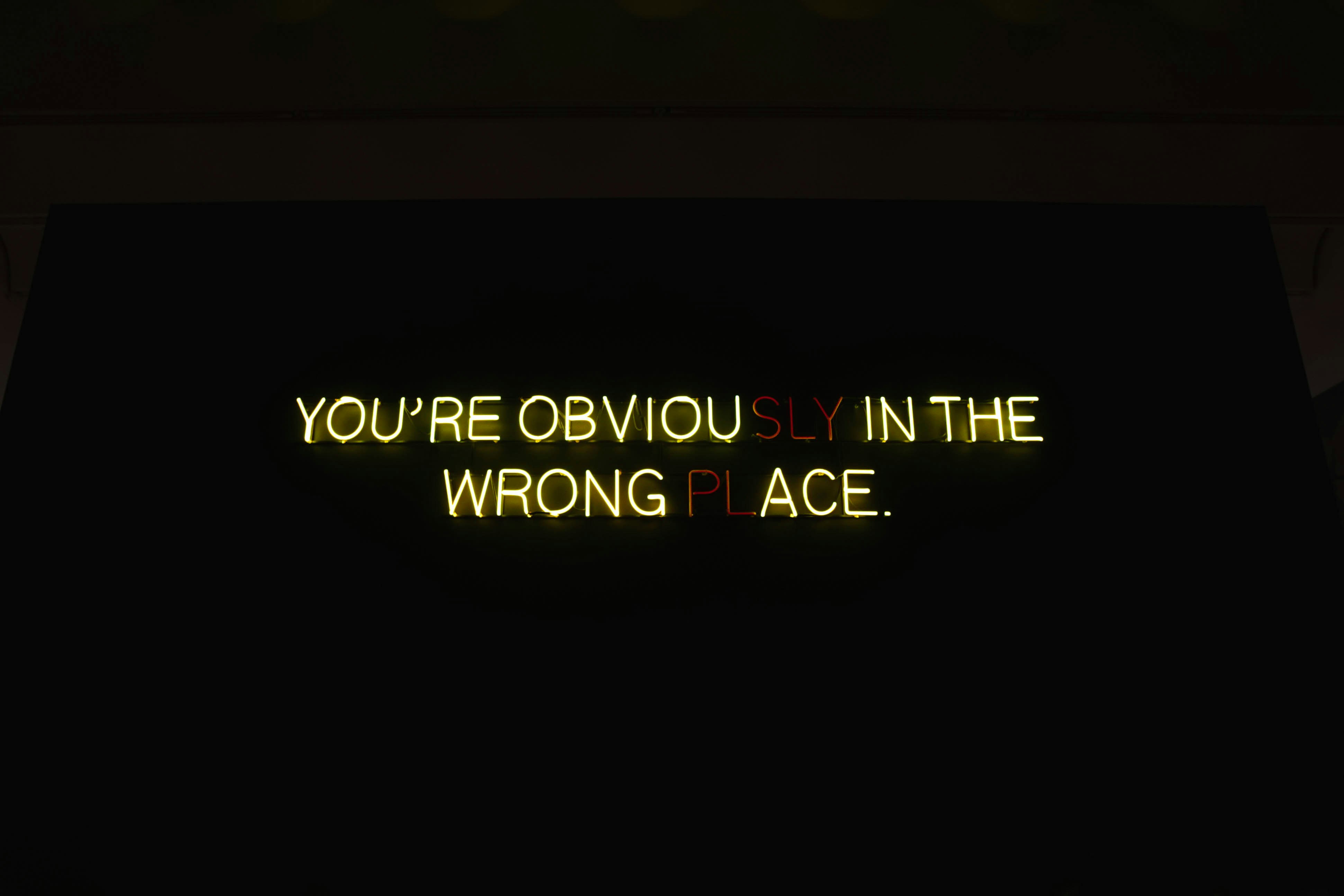 Ace Frehley's Tragic Death: A Rock Legend's Final Days