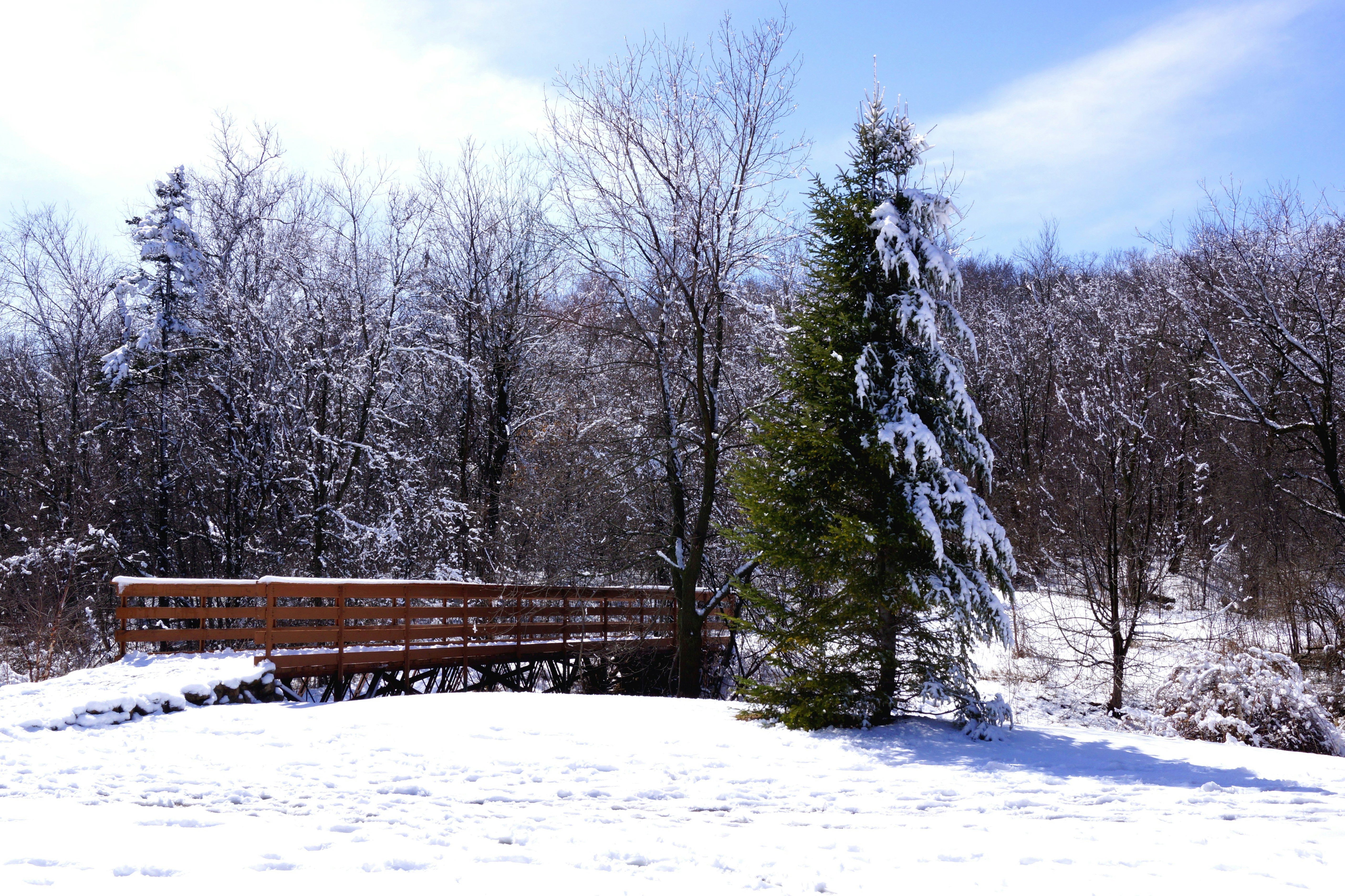 Photo by globalpalette