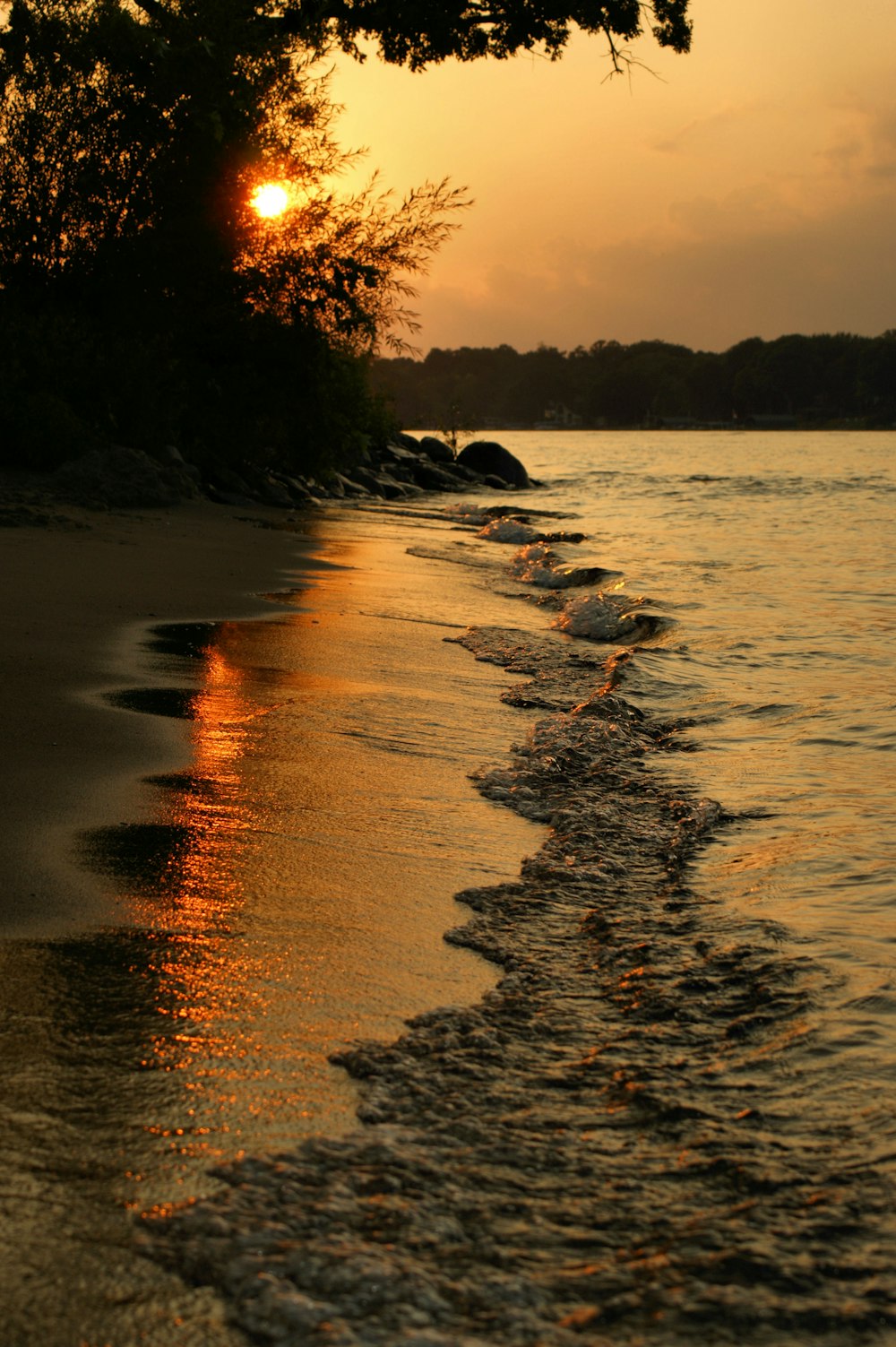 body of water near trees during sunset