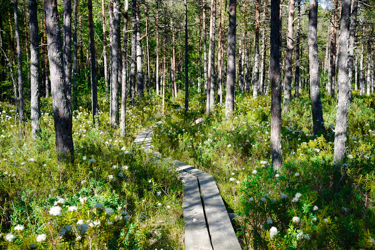 Parc national de Lahemaa