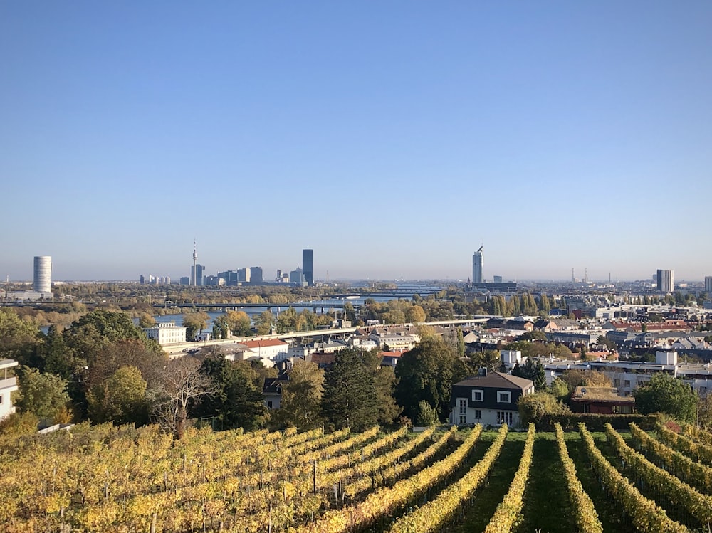 Campo de césped verde cerca de los edificios de la ciudad durante el día