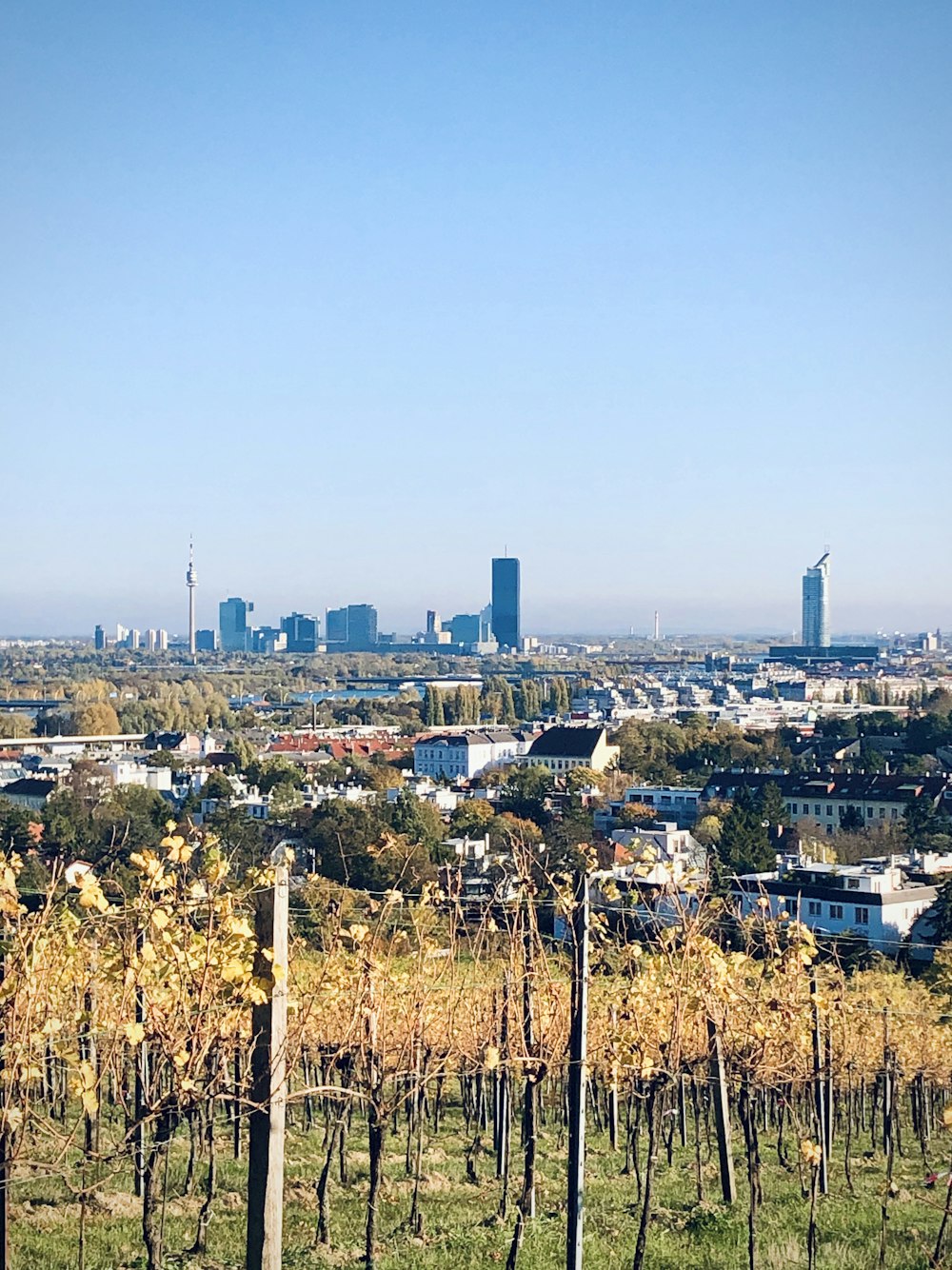 city with high rise buildings under blue sky during daytime