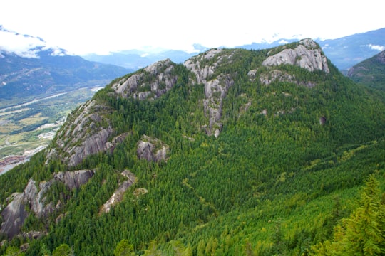 green trees on mountain during daytime in Horseshoe Bay Canada