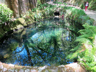 A quiet moment of reflection by a calm pond surrounded by soft sand beige pathways.