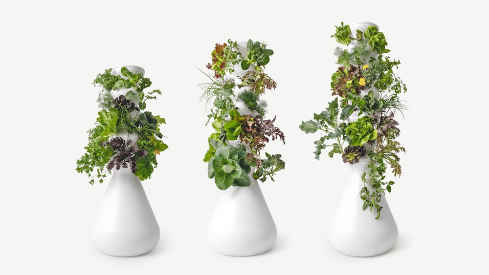 white and green flowers in white ceramic vase