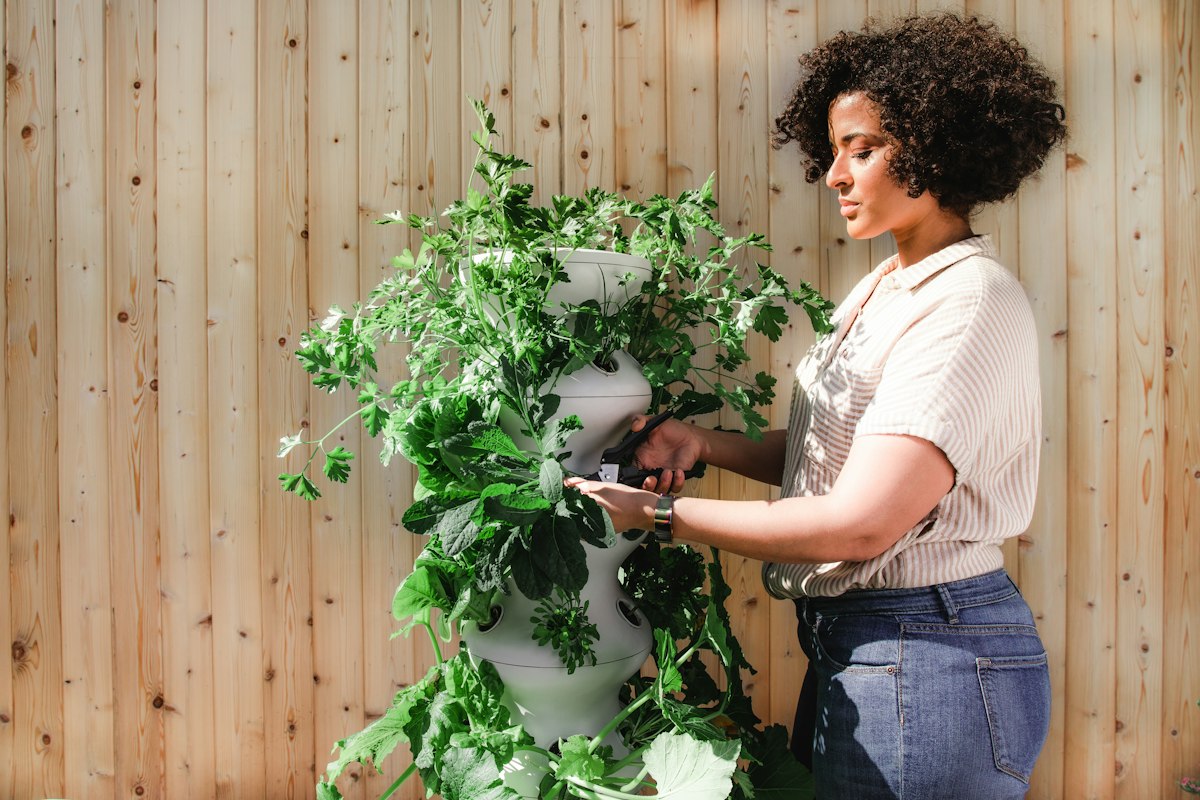 Fernhouse horticulturist caring for plants