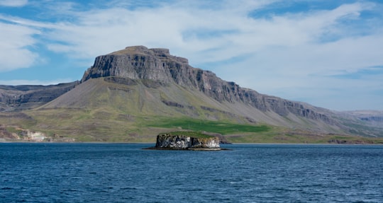 green and brown mountain beside body of water during daytime in Hvalfjörður Iceland
