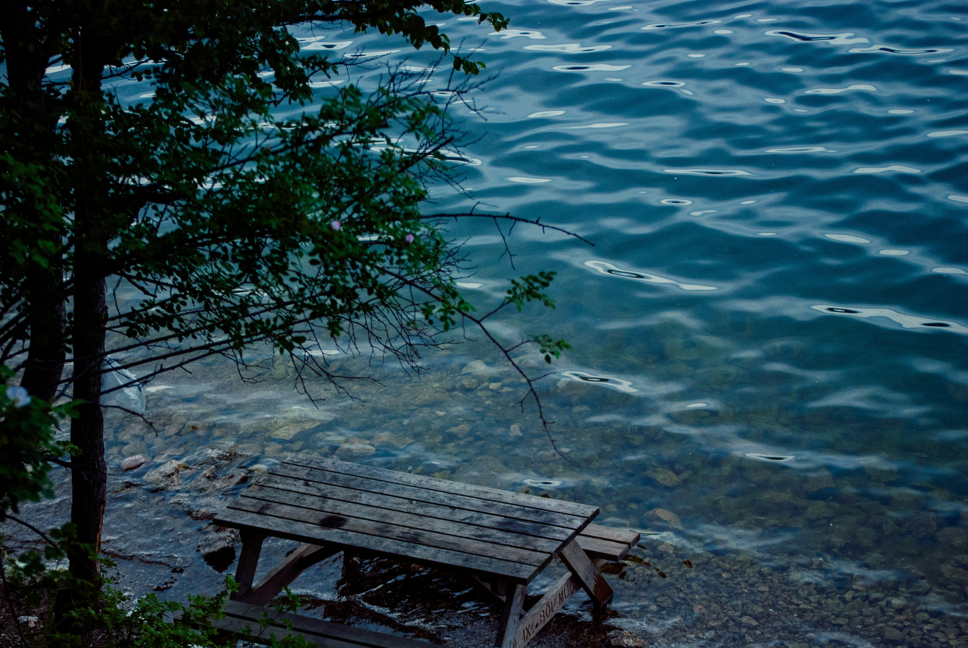 A wooden bench sitting next to a body of water photo – Free Sea Image ...