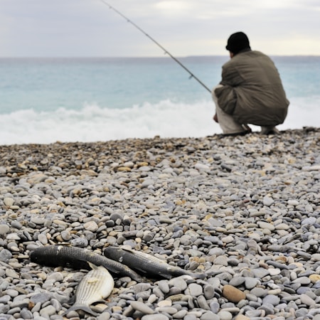 Exploring the Excitement of UK Sea Fishing