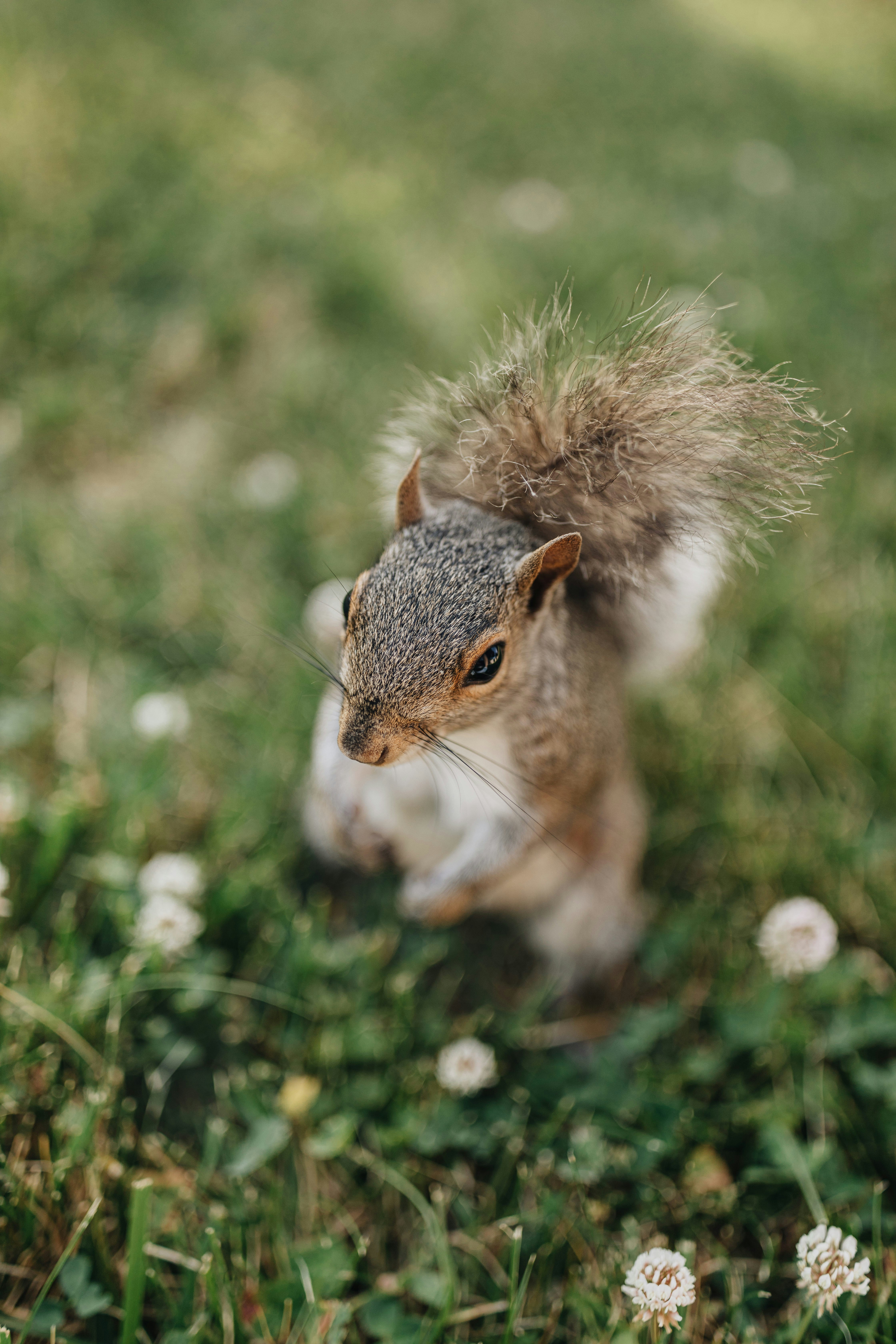 Photo by brittneyweng