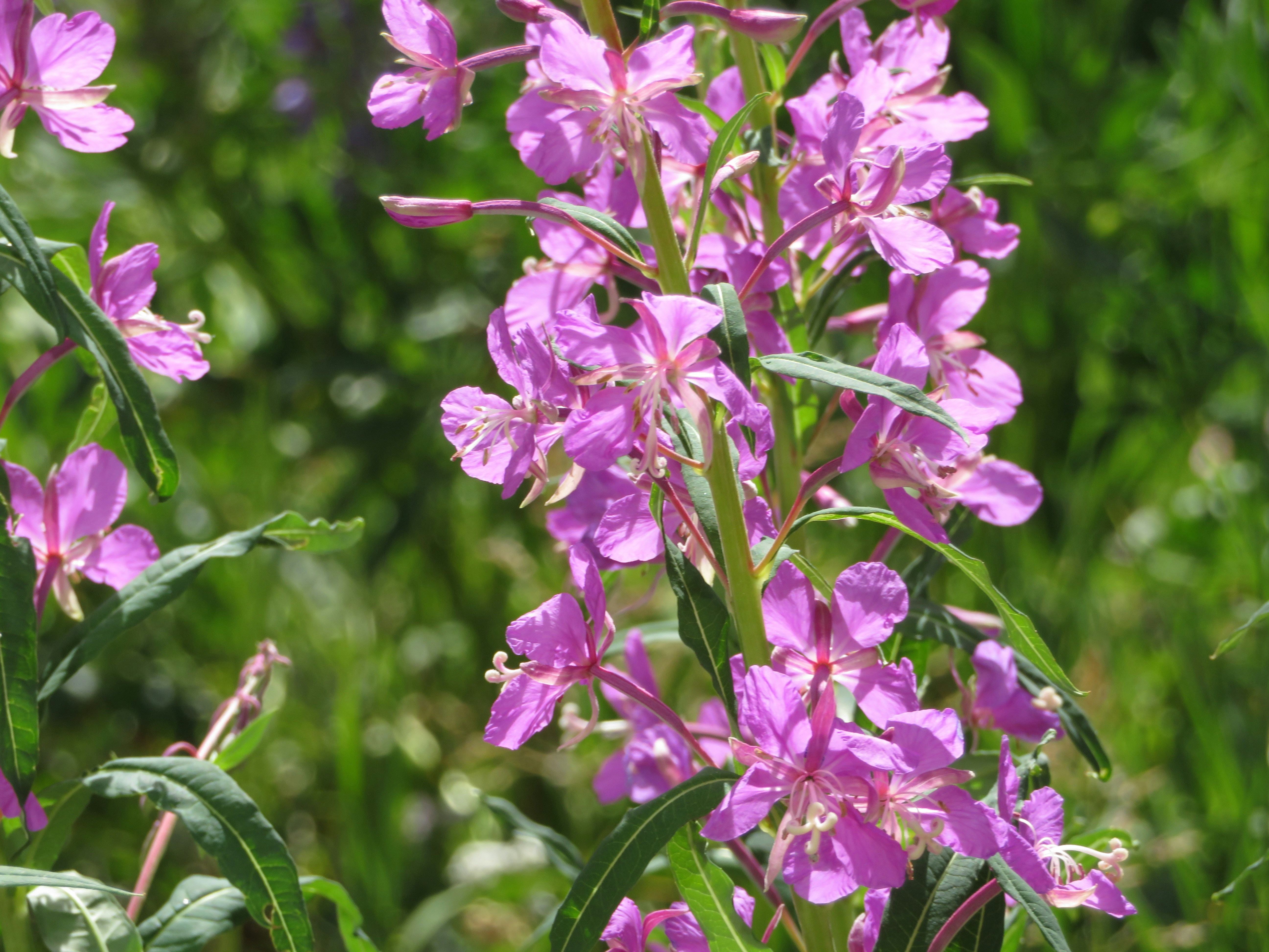 Photo by marcie_kennedy