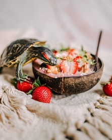 luminisle coconut bowl eco tips