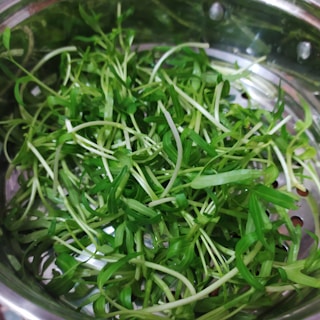 green leaves in stainless steel bowl
