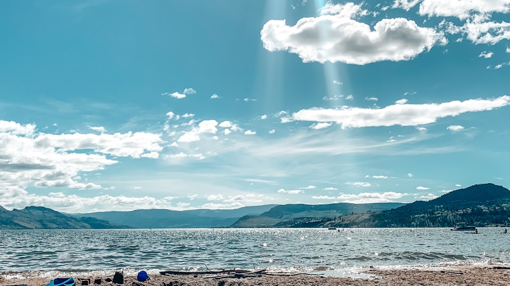 persone sedute sulla spiaggia durante il giorno