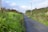 A narrow rural road extends into the distance, flanked by lush green vegetation and wildflowers. The sky is partly cloudy, and telephone poles line one side of the road. A house or building is partially visible in the background, adding to the serene countryside setting.