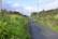 A narrow rural road extends into the distance, flanked by lush green vegetation and wildflowers. The sky is partly cloudy, and telephone poles line one side of the road. A house or building is partially visible in the background, adding to the serene countryside setting.