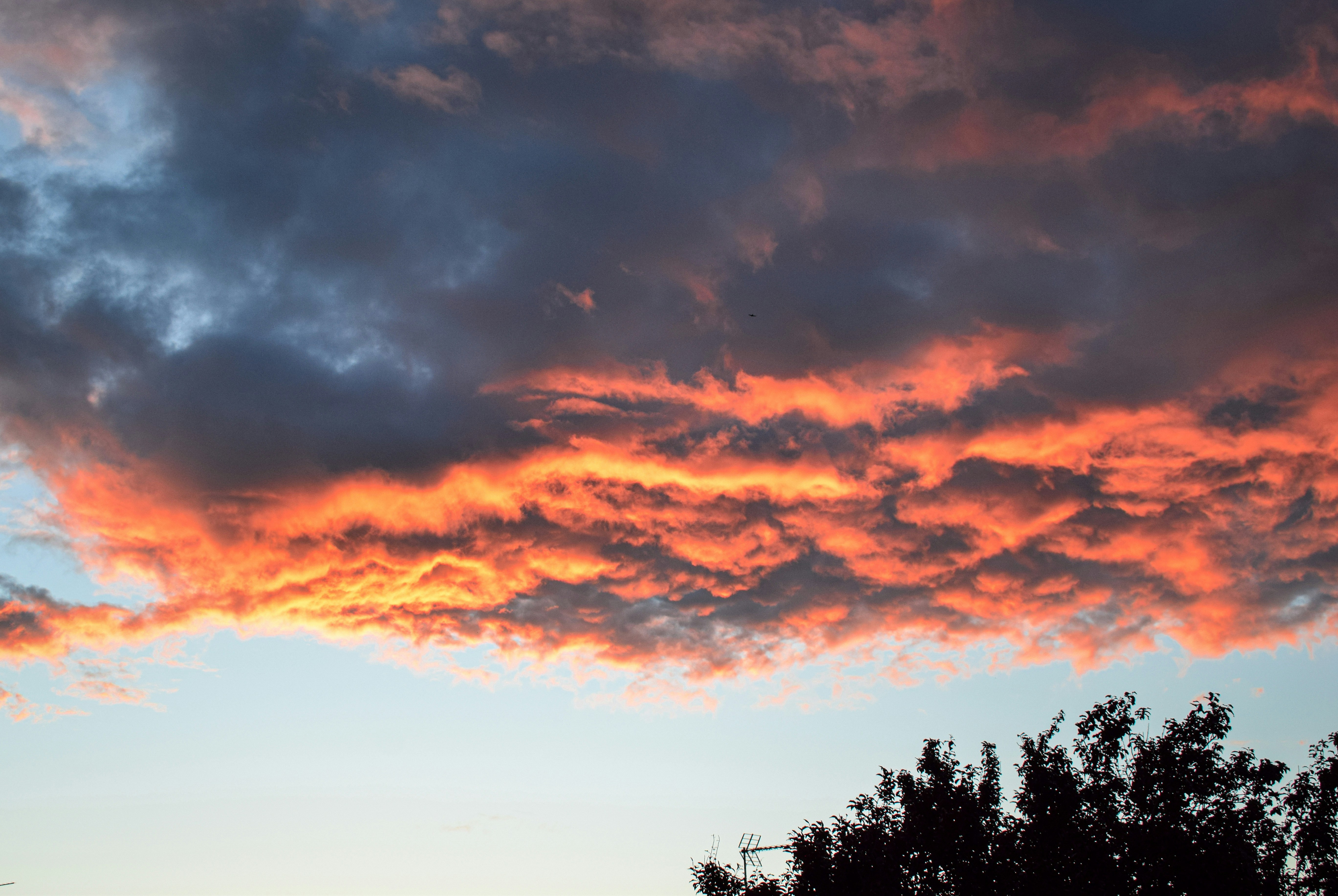 Photo by taylor_cowling_photos