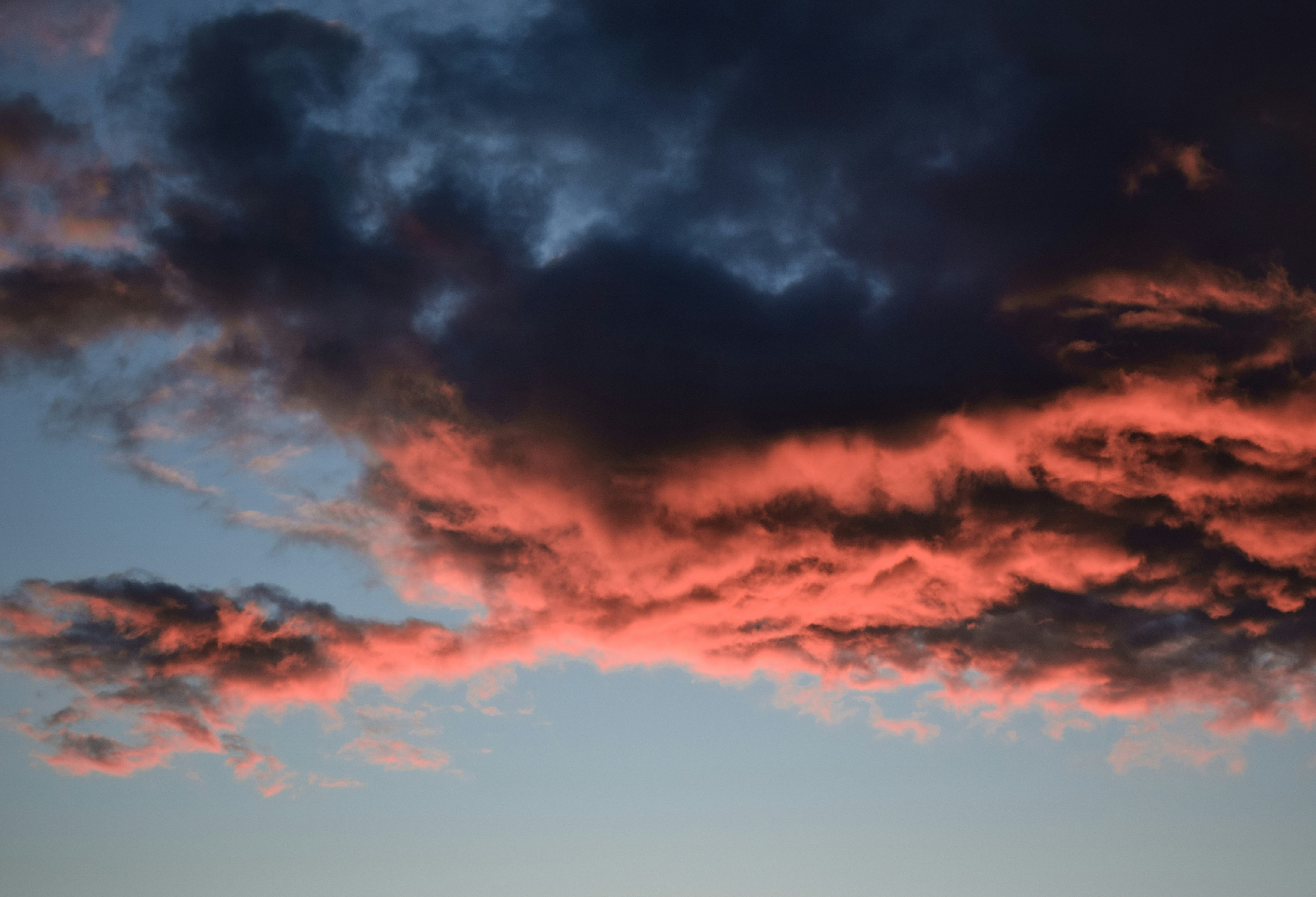 Photo by taylor_cowling_photos