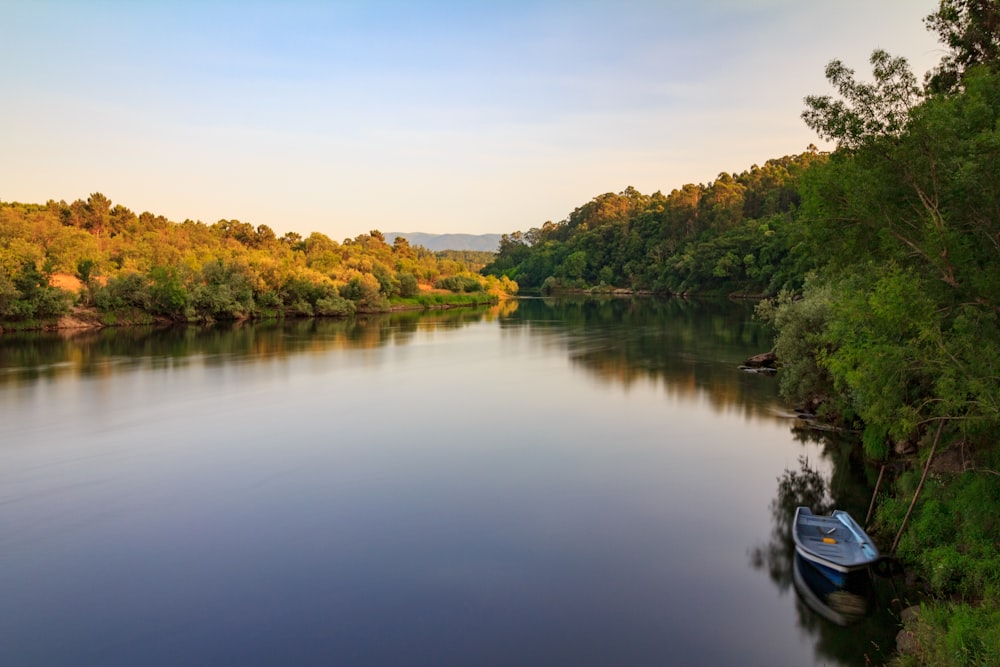 alberi verdi e marroni accanto al fiume durante il giorno