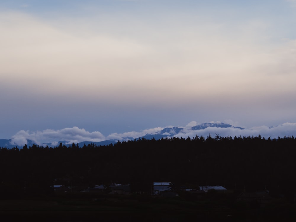 silhouette of trees and mountains during daytime