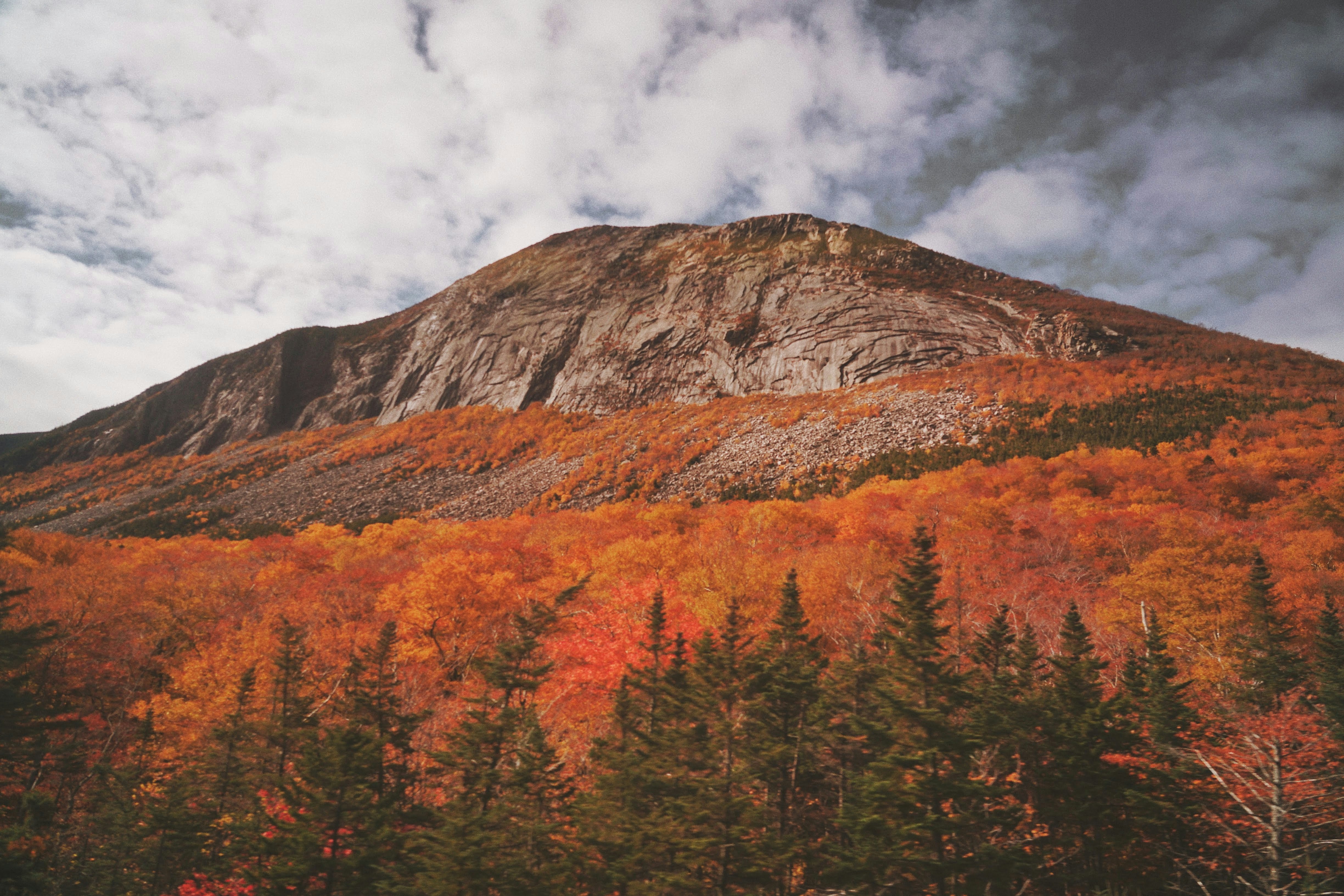 green and brown trees near brown mountain under cloudy sky during daytime