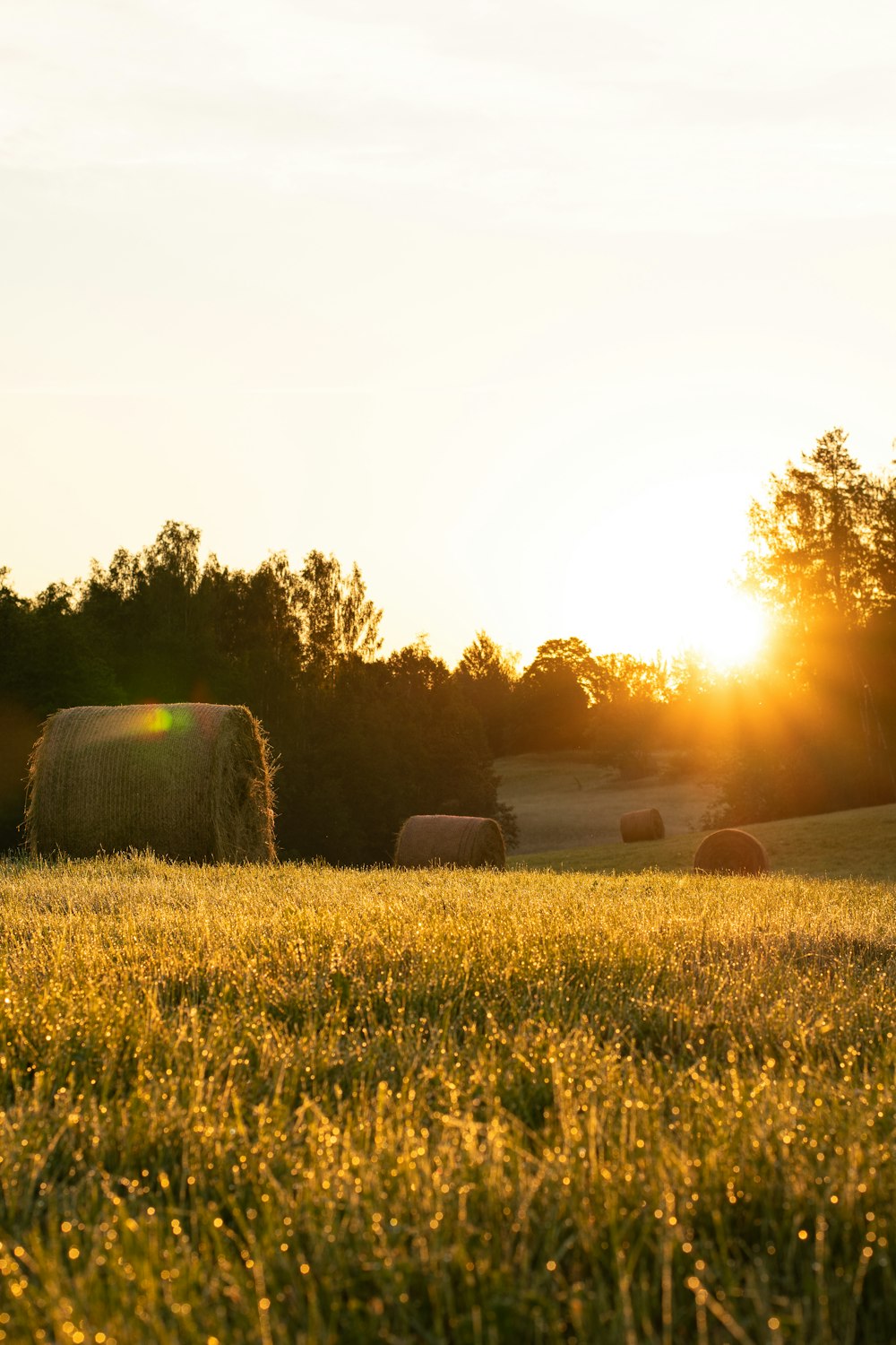 green grass field during daytime