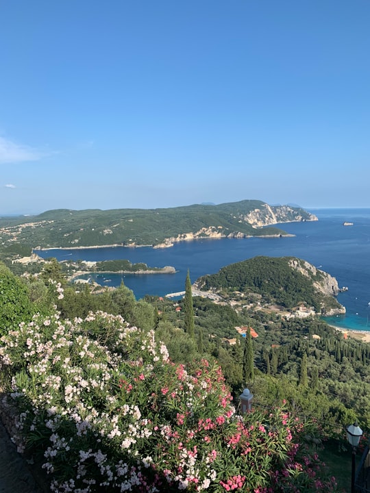 green trees near body of water during daytime in Bay of Palaiokastritsa Greece