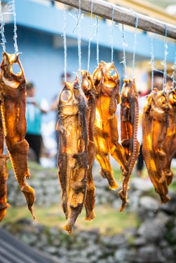 Dried fish are hanging on strings attached to a wooden pole. The fish are golden-brown in color, suggesting they have been dried or smoked. The background features a blurred outdoor setting with blue and green tones.