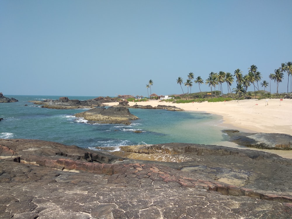 people on beach during daytime