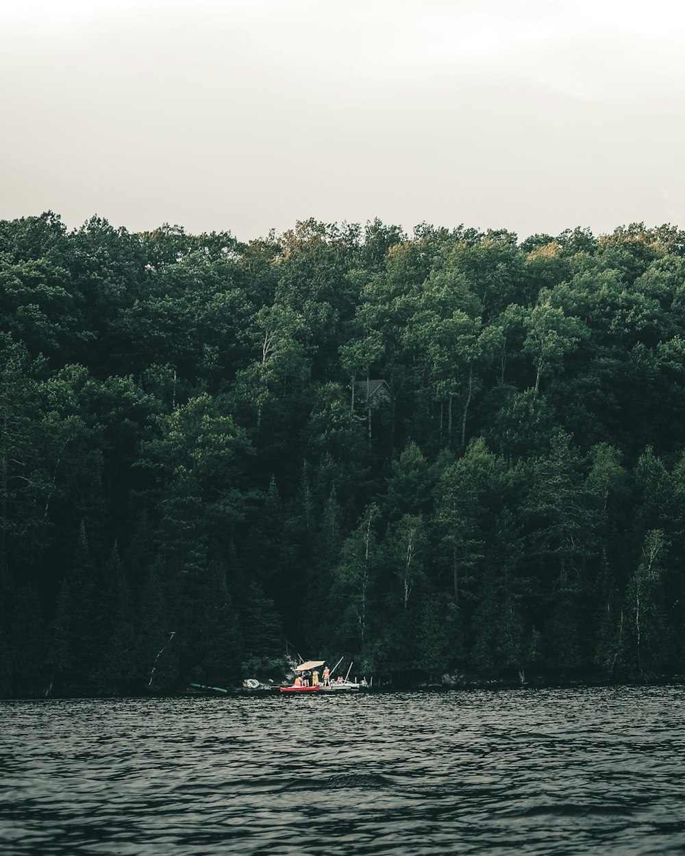 personne à bord d’un bateau rouge et blanc sur un plan d’eau pendant la journée