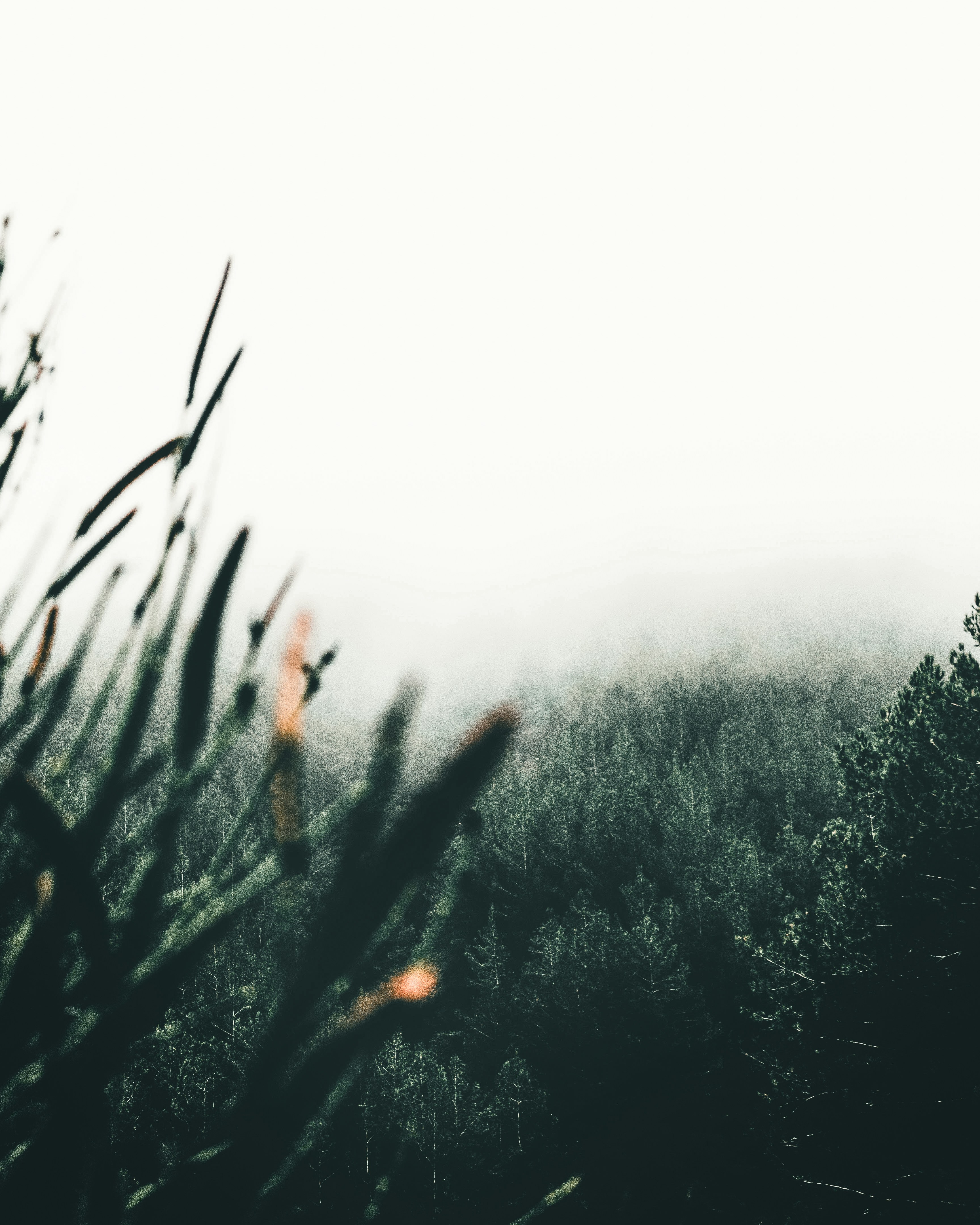 Photo by lureofadventure