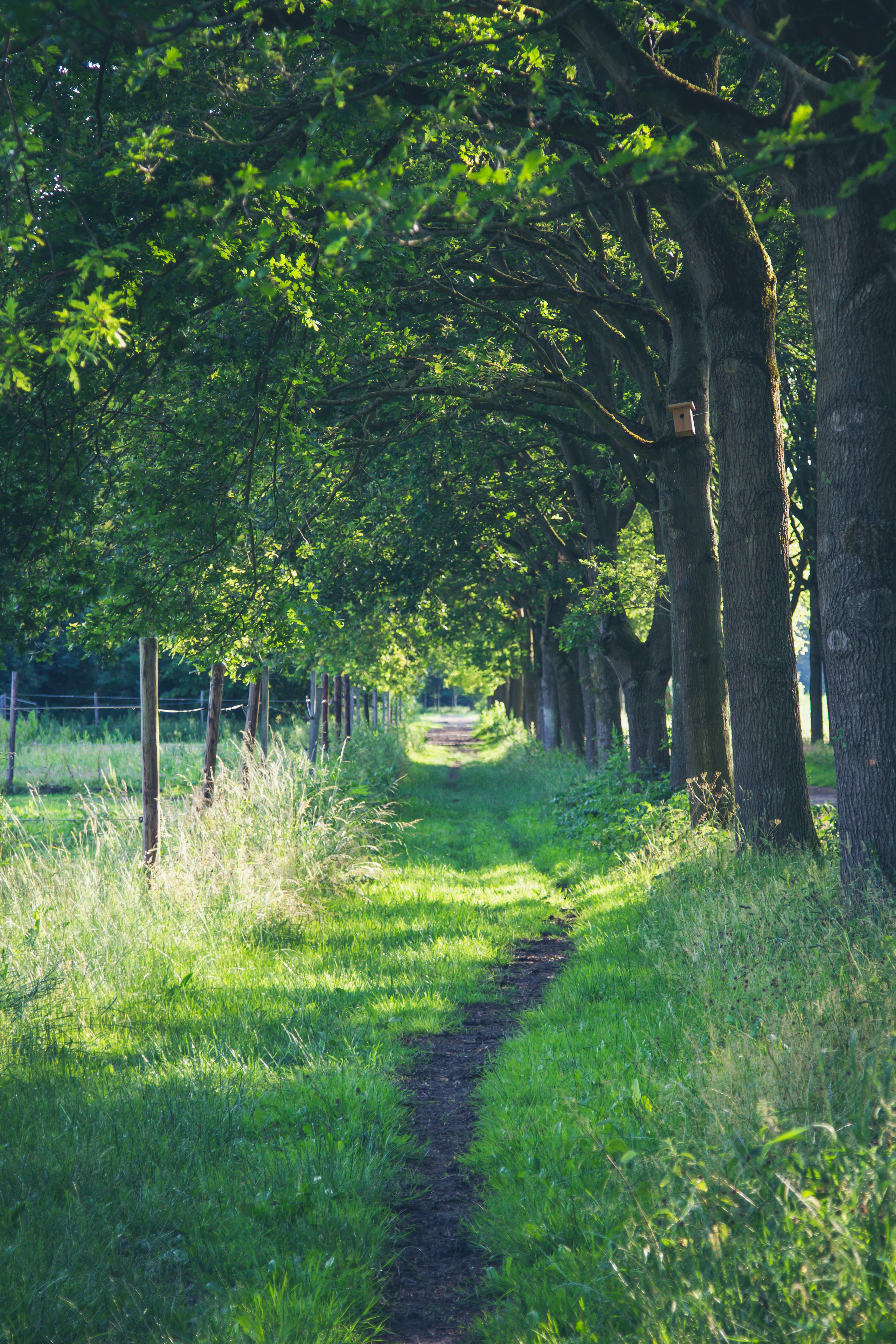 Photo by allthestars