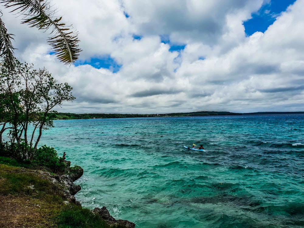 árboles verdes junto al mar azul bajo nubes blancas y cielo azul durante el día