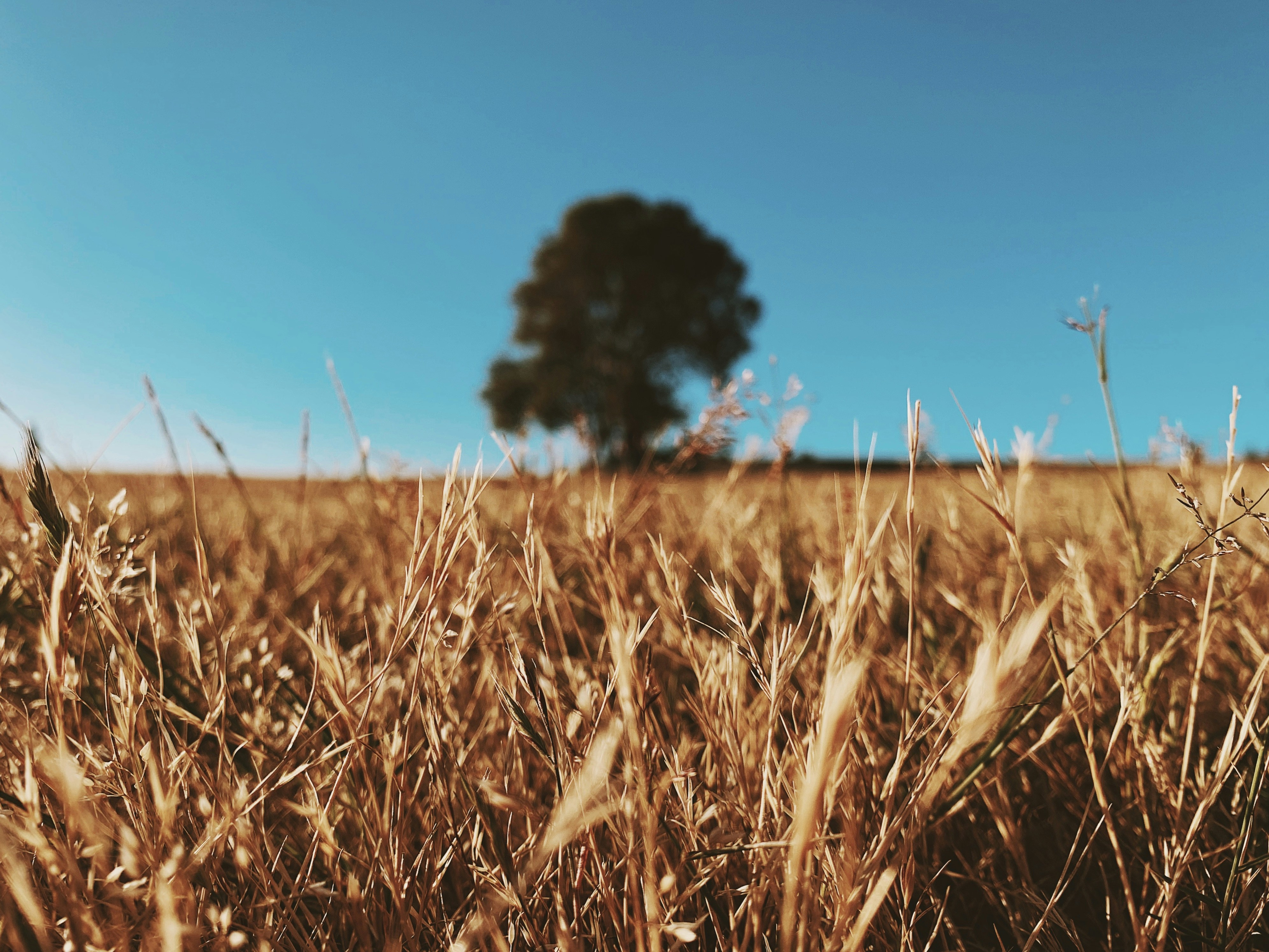 calm blue wallpaper, wallpaper, 7 Cara Mengobati Leher Sebelah Kanan Sakit 6