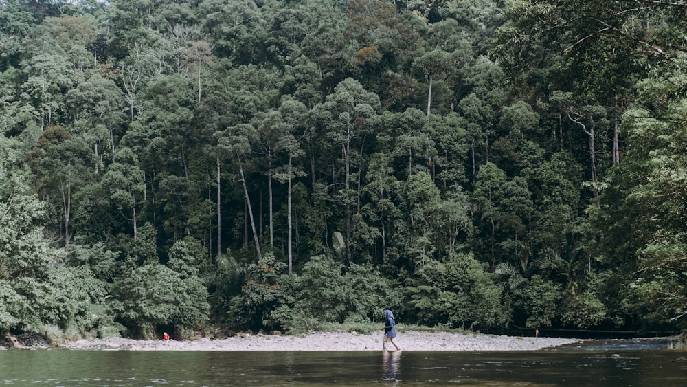 a person standing in a river with trees in the background